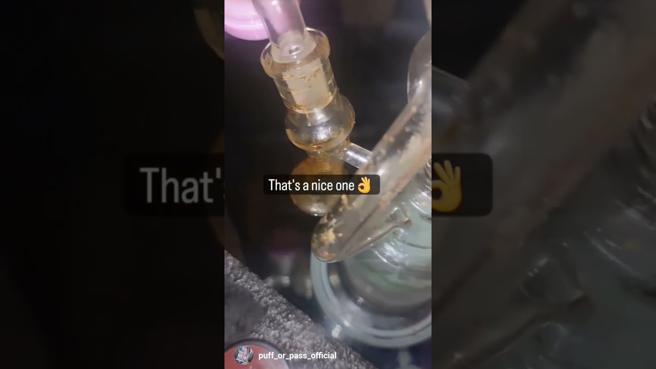 POV - Dabbing Backpack Boyz White Cherry Gelato cold cured rosin! #pufforpass #exotic #reviews