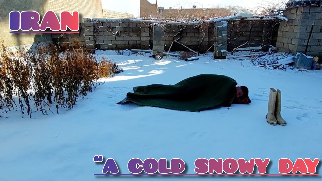 Snowy Morning in the Village – Feeding Cows on a Cold Winter Day”
