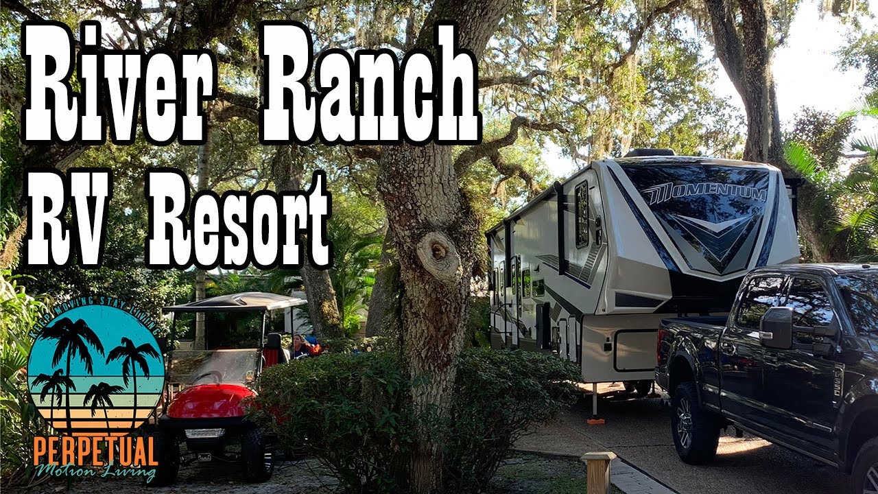 Gators, Broncs, and Bulls | River Ranch RV Resort