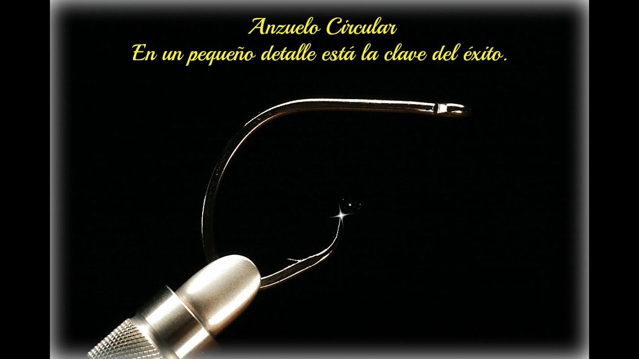 Anzuelo Curvo VS Anzuelo Circular.