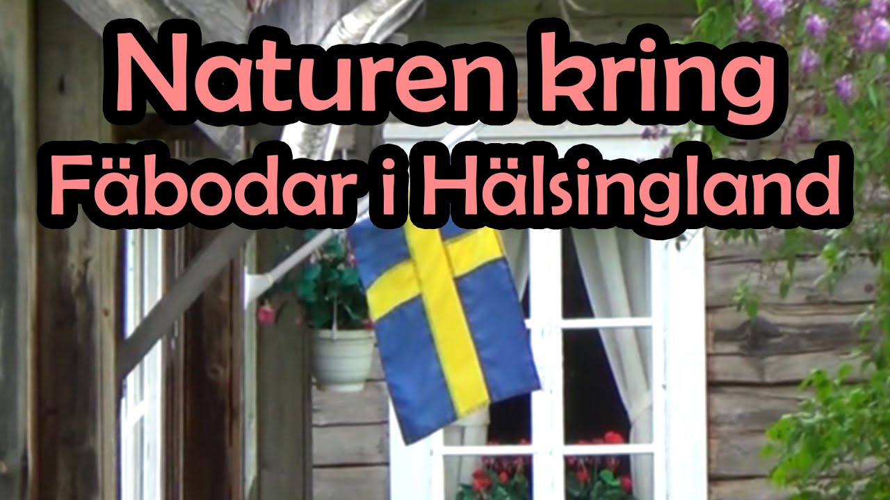 Fäbodvallarna i Hälsinglands Fantastiska Natur