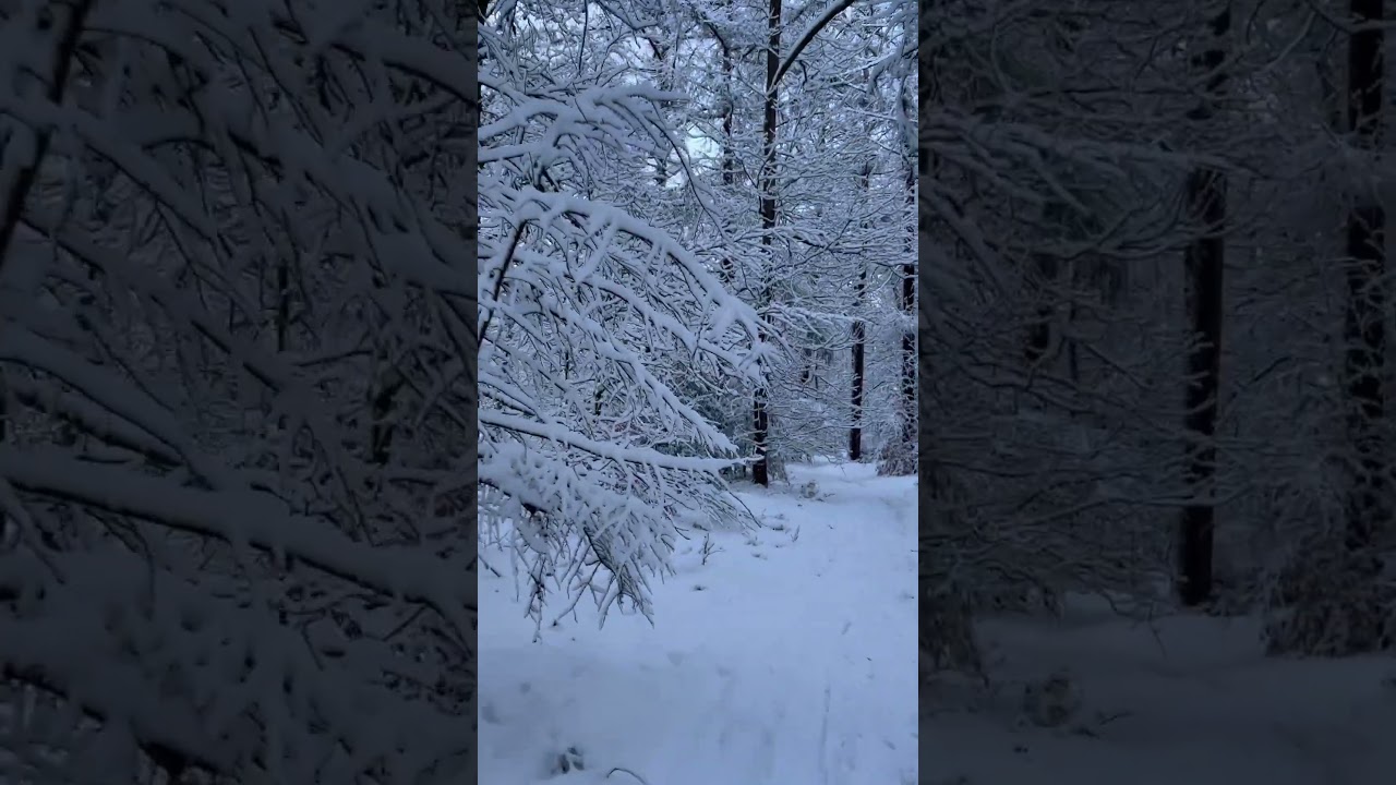 Sneeuw januari 2026 ☃️ - 