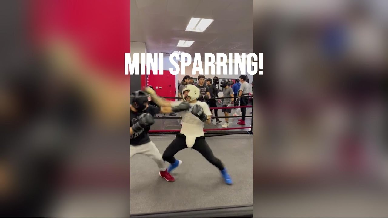 Mini Sparring (Check out my Clothing Brand!)