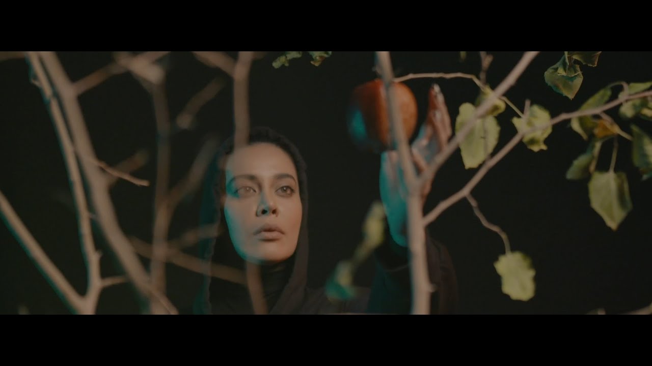 Ehsan Daryadel - Dordoone