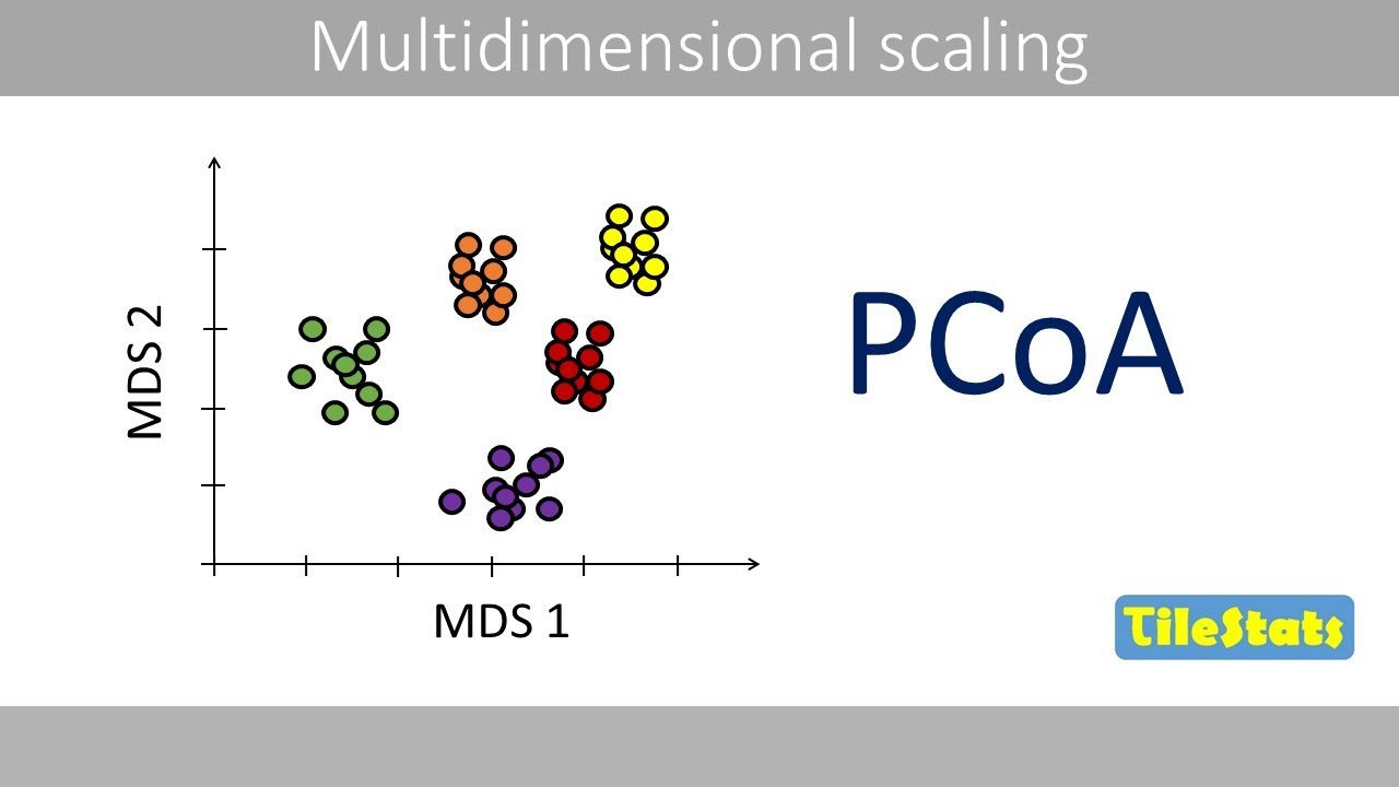 PCA vs PCoA (Multidimensional scaling) - explained