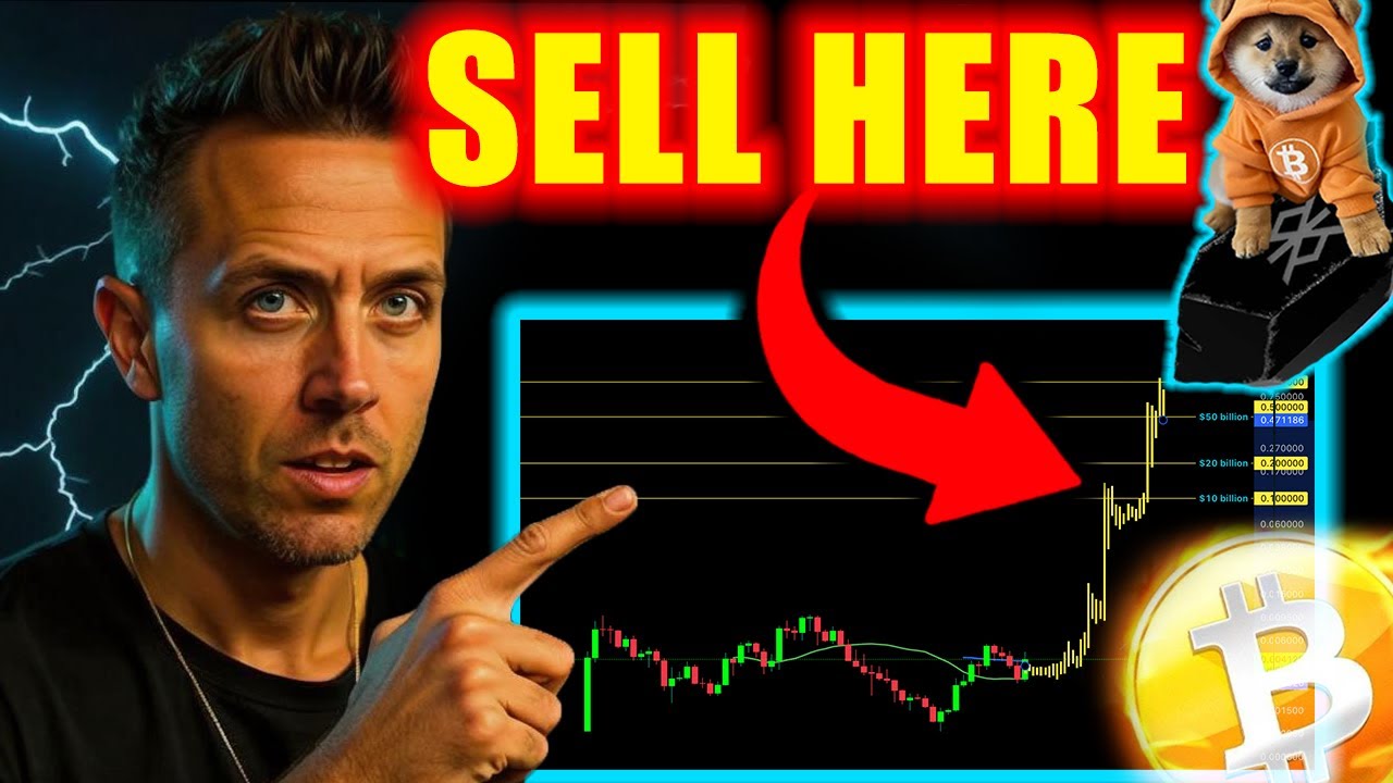 This Altcoin ON BITCOIN Will Shock CRYPTO (DOG DOMINATION)