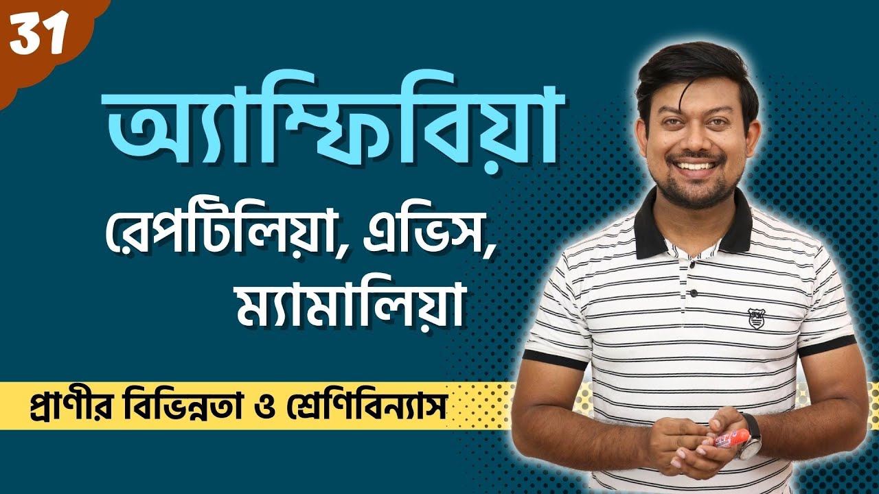31. অ্যাম্ফিবিয়া। রেপটিলিয়া। অ্যাভিস। ম্যামালিয়া। Amphibia। Reptilia। Aves। Mammalia Classification