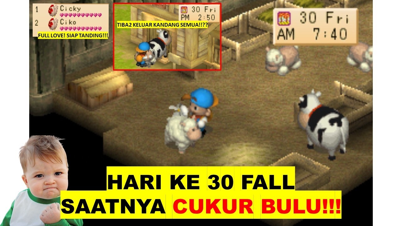 HARVEST MOON BACK TO NATURE HARI 30 FALL SAATNYA CUKUR BULU (LAGI) AHAHAHA