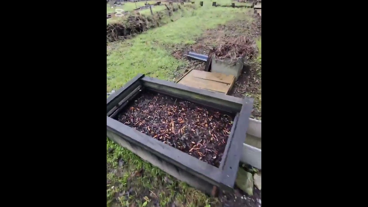 Vegetable & Herb Garden Walkaround