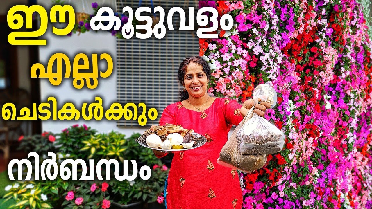 കഞ്ഞി വെള്ളത്തിൽ ഈ കൂട്ടുവളം കൊടുക്കു |fertilizer