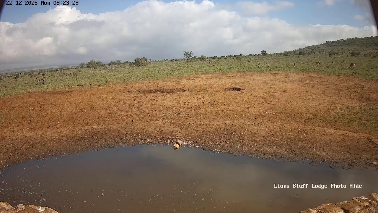 Lions Bluff Lodge Photo Hide - Live Stream