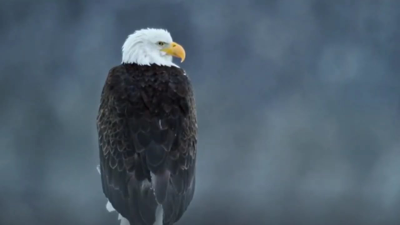 Yellowstone Kevin Costner Documentary Episode 2 Part 3