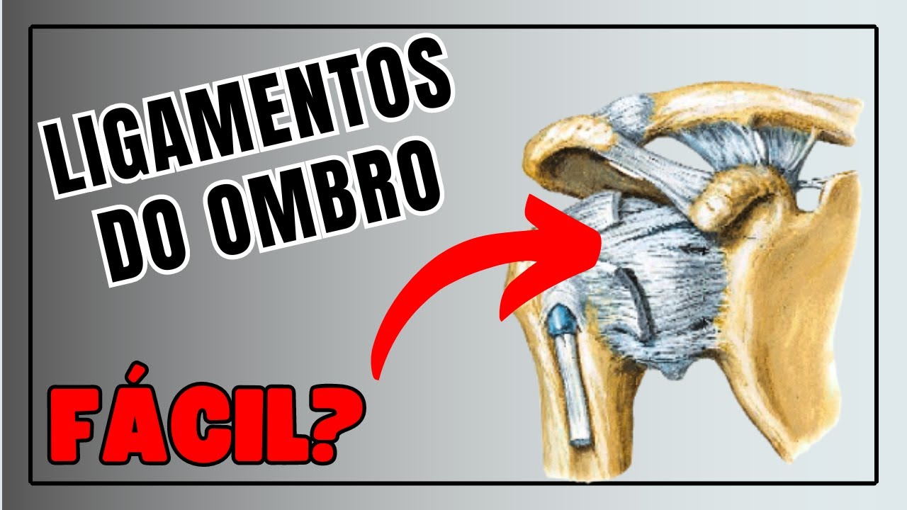 LIGAMENTOS DO OMBRO - Corpo Quiz