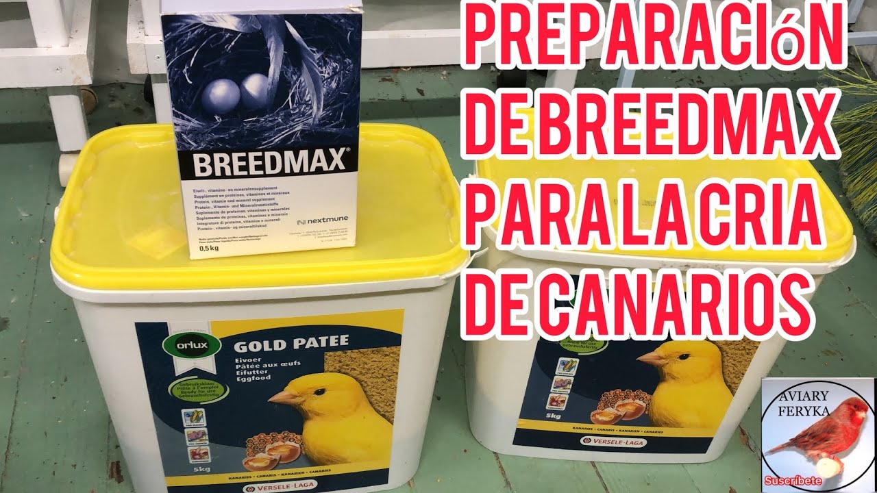 Breedmax preparation for canary breeding