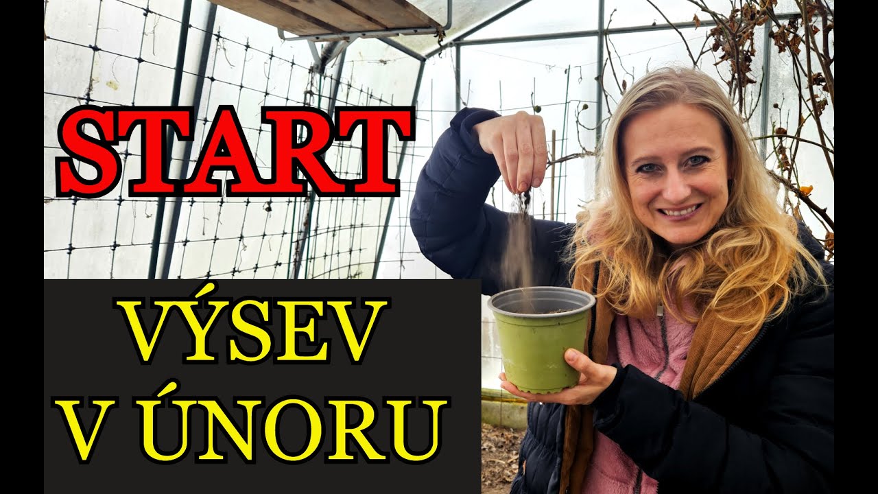 SEZÓNA ZAČÍNÁ - VÝSEV V ÚNORU - Co můžeme vysévat na naší zahradě v únoru?