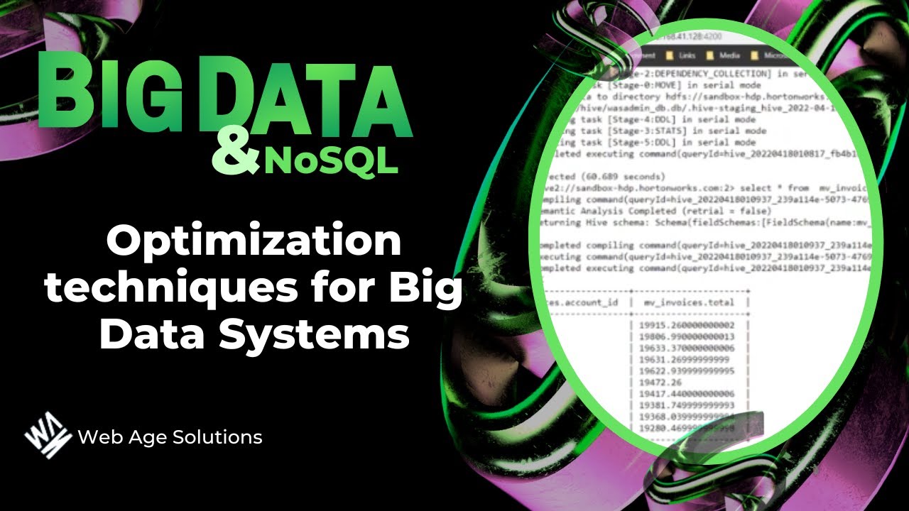 Optimization techniques for Big Data Systems