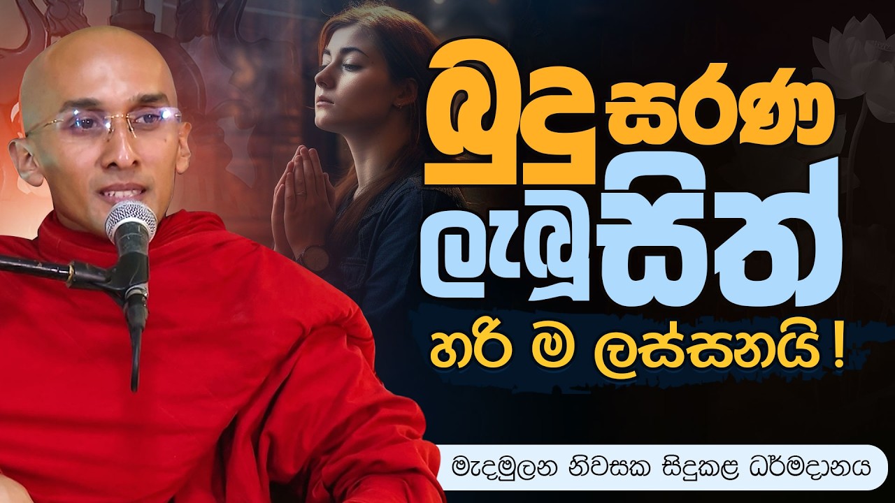 බුදු සරණ ලැබූ සිත් හරි ම ලස්සනයි..!  | Venerable Ankubure Amithadeepa Thero