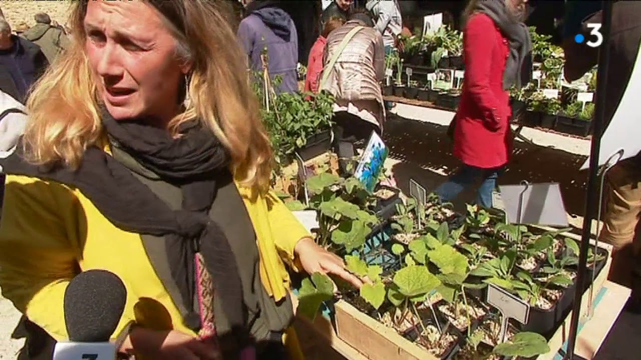 Saint-Beno&icirc;t : les plantes comestibles &agrave; l'honneur du march&eacute; aux fleurs