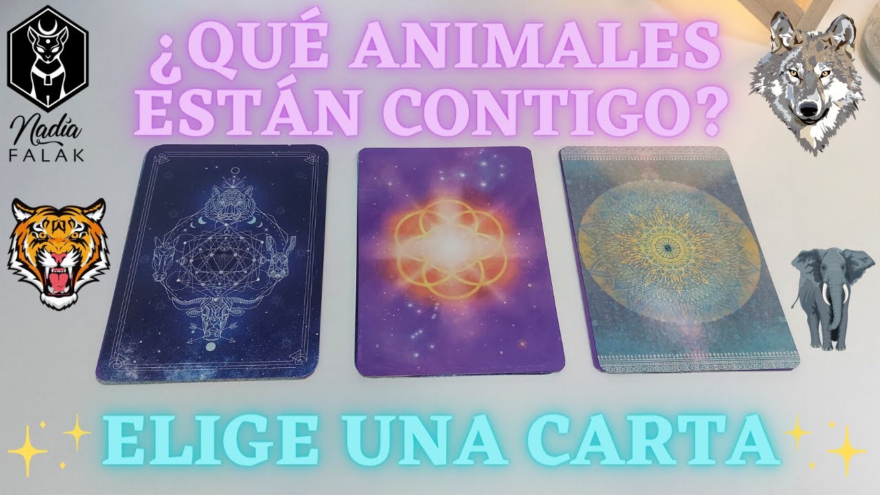 🐺 ESPÍRITUS ANIMALES QUE TE ACOMPAÑAN 🐯 Tarot Interactivo 🔮 Nadia Falak