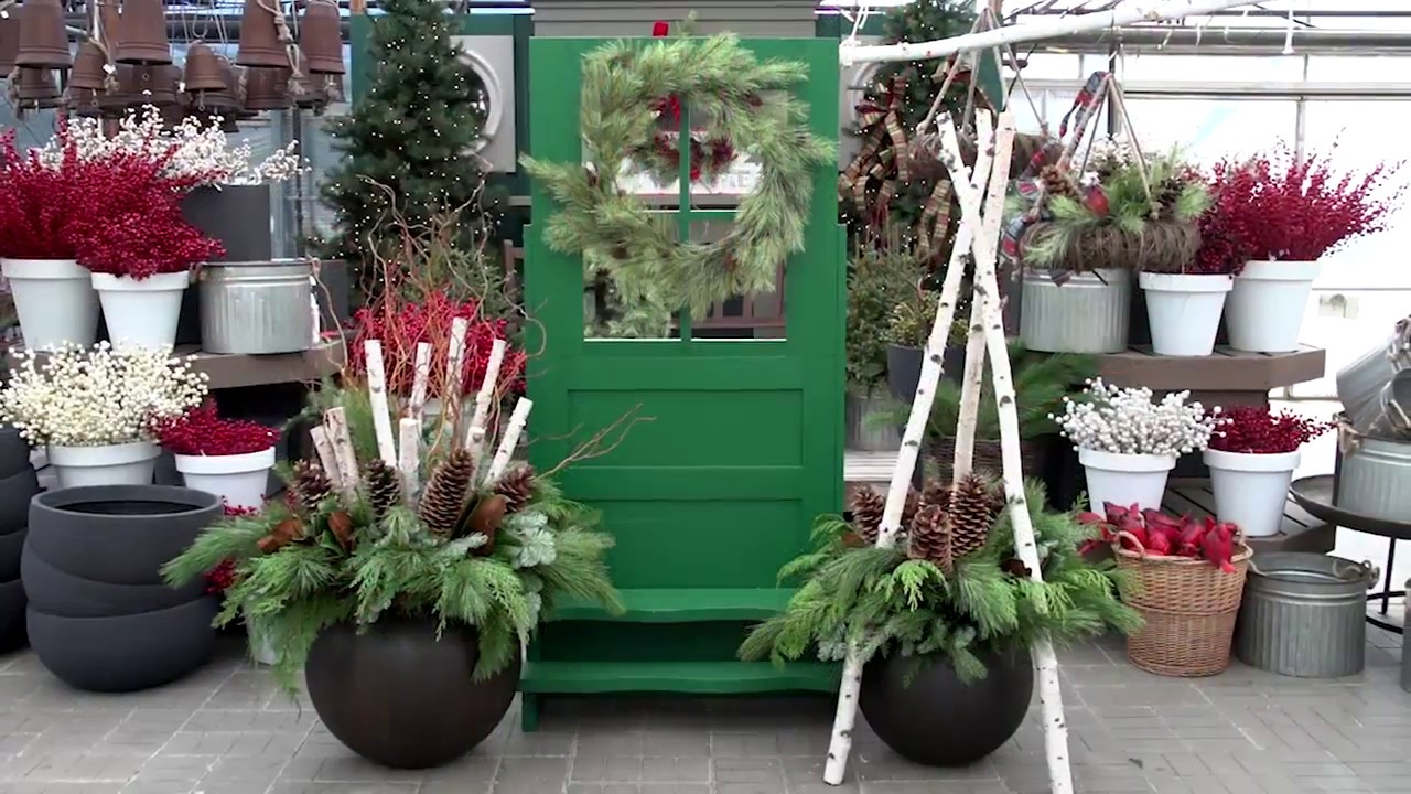 Mixed evergreen winter container