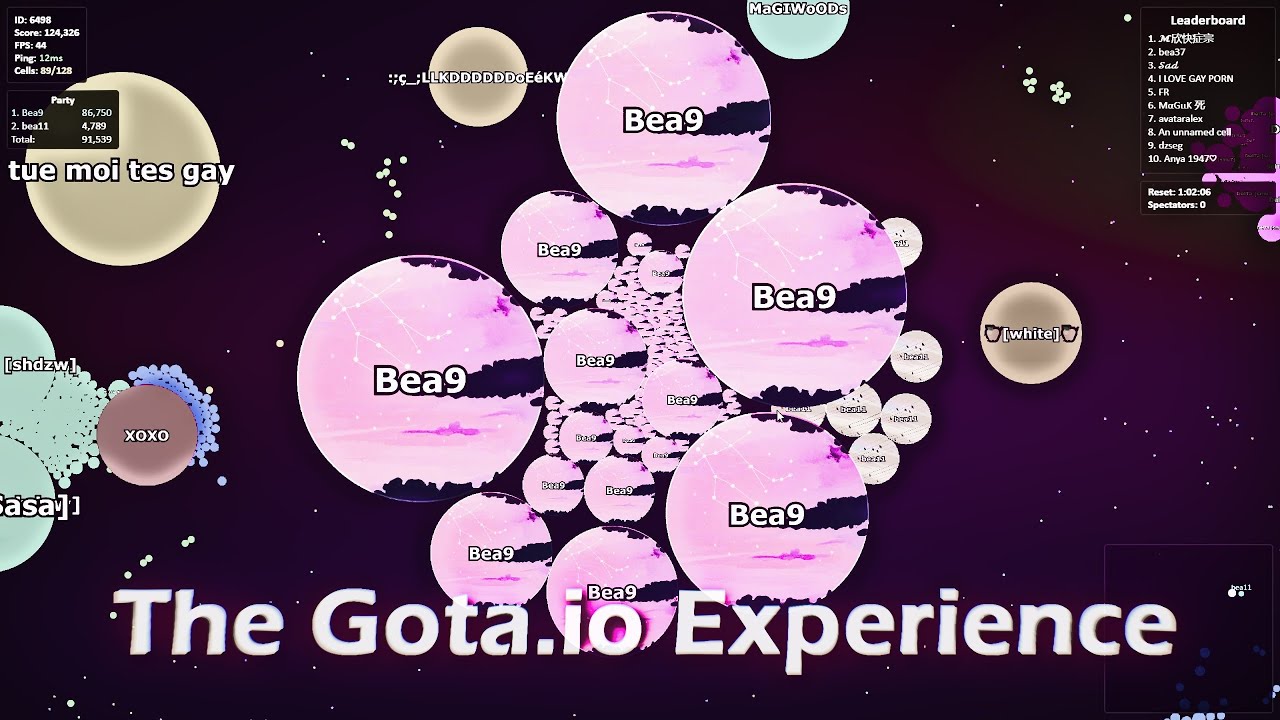 The Gota.io Experience 😂