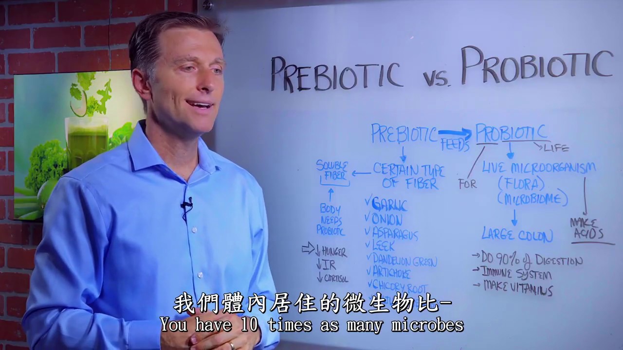 益生菌和益生元的差別｜Dr. Eric Berg 【中英字幕】