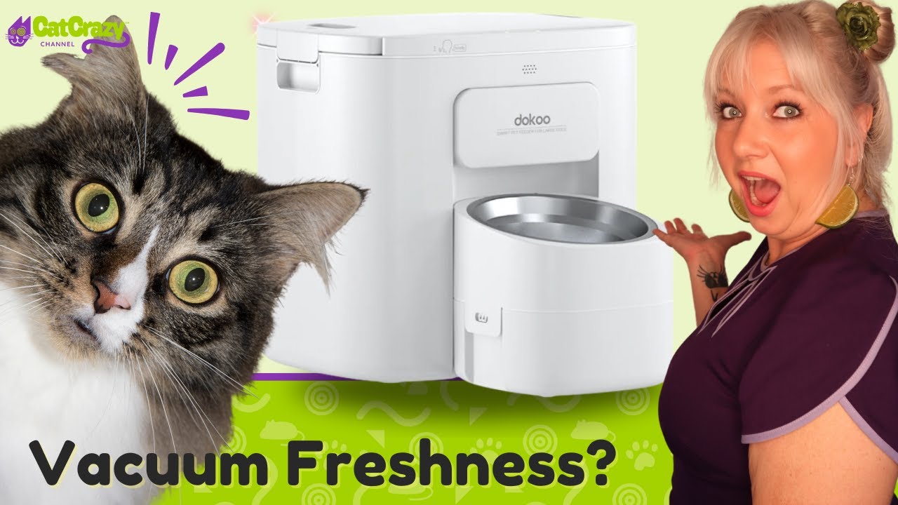 15L Capacity? Check out Dokoo's Large Pet Feeder!
