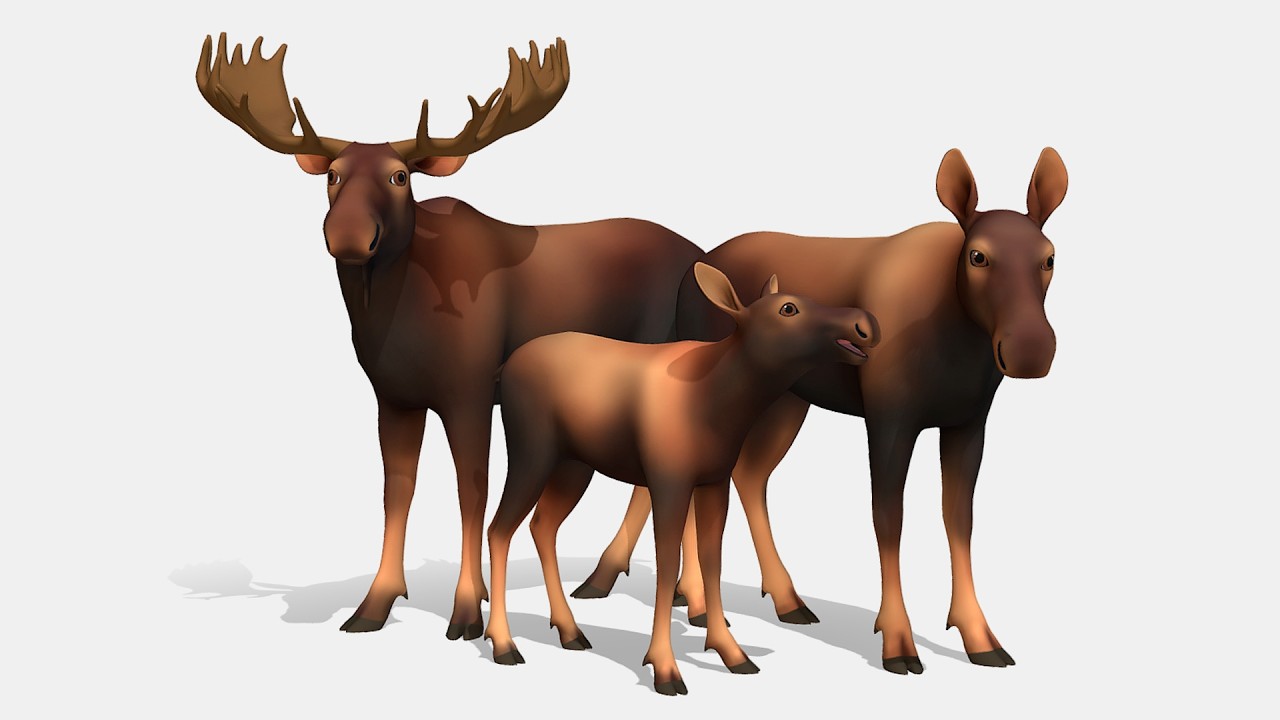 Cartoon Moose Animations