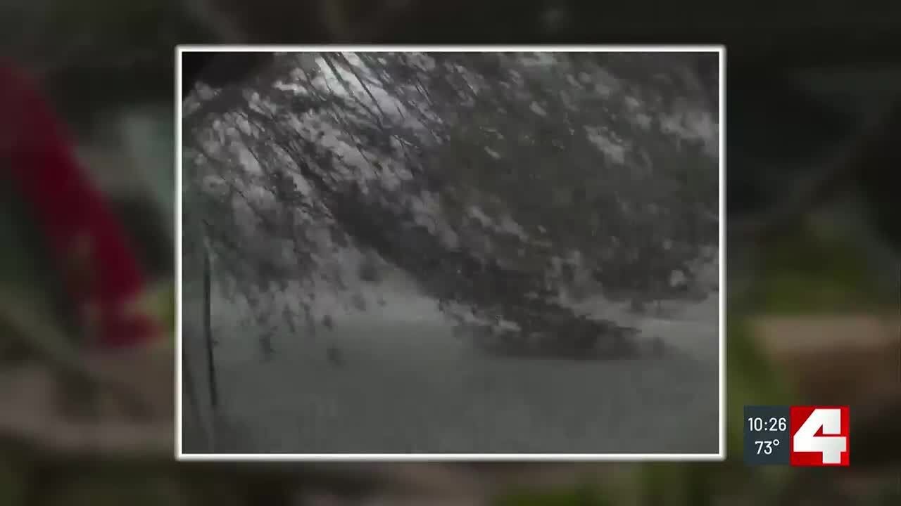 Security video captures toppling trees as tornado blitzes CWE neighborhood