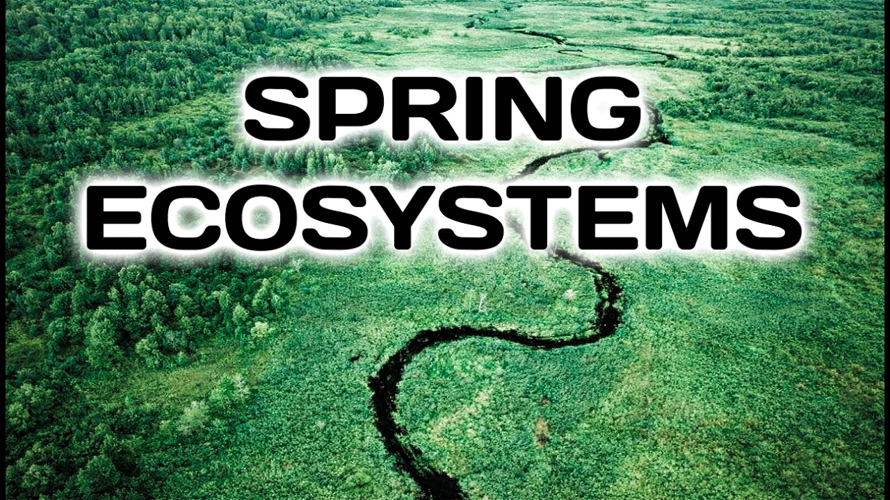 Spring Ecosystems - Water Music