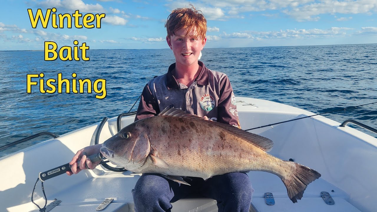 Winter Bait Fishing for Giant Fish in Hervey Bay