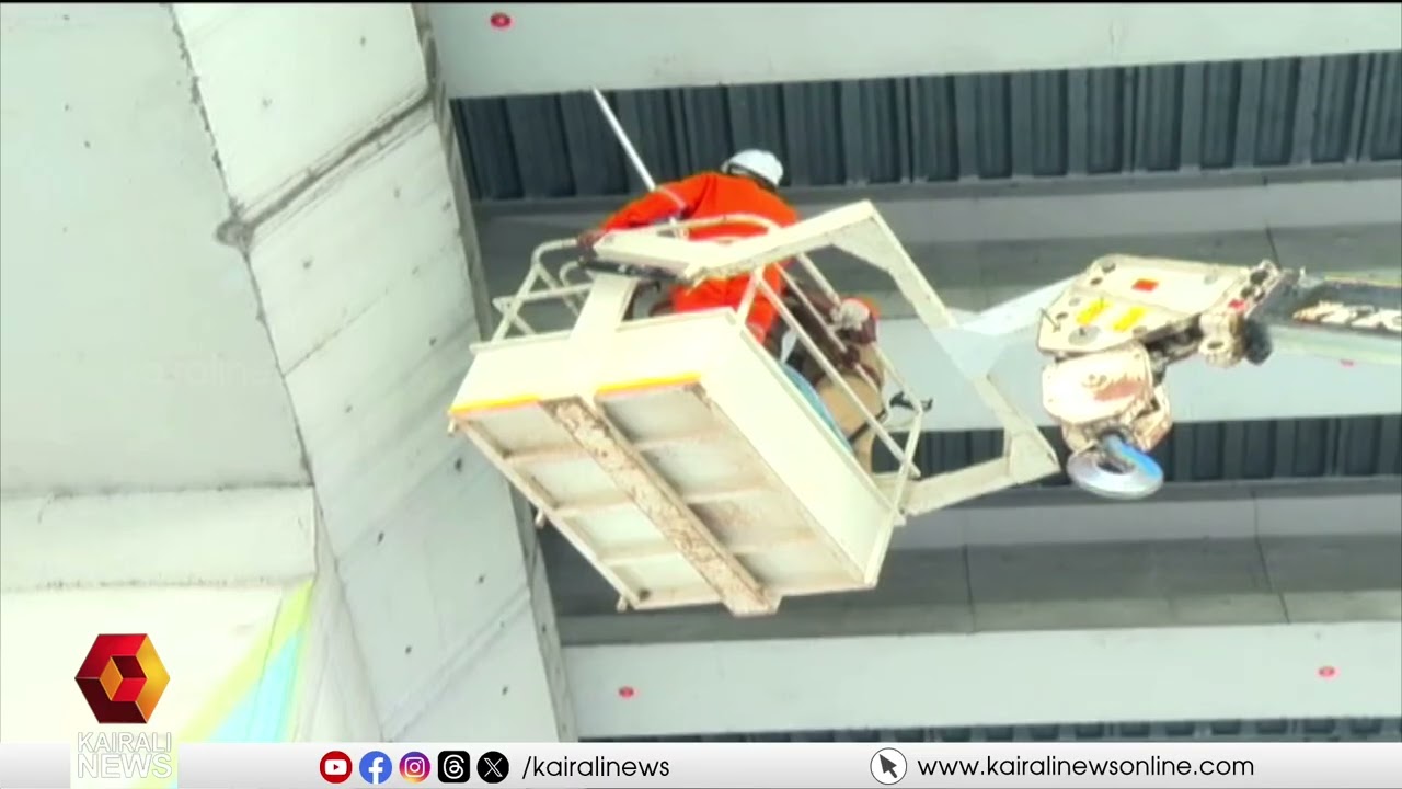 കൊച്ചി മെട്രോ പില്ലറിൽ കുടുങ്ങിയ പൂച്ചയെ കണ്ടെത്തി | Cat found stuck in Kochi Metro pillar