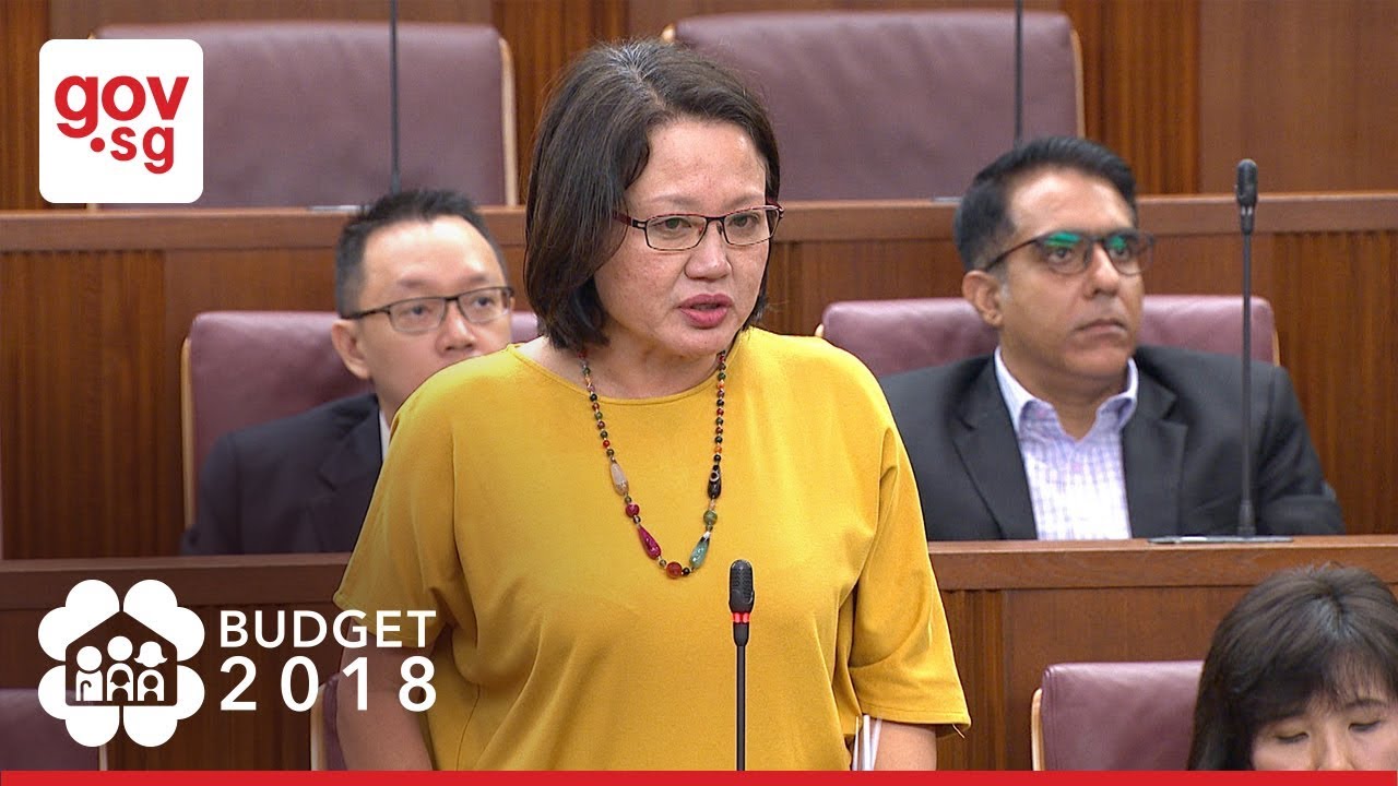 Exchange between MP Sylvia Lim and Min Heng at 2018 Budget Debate