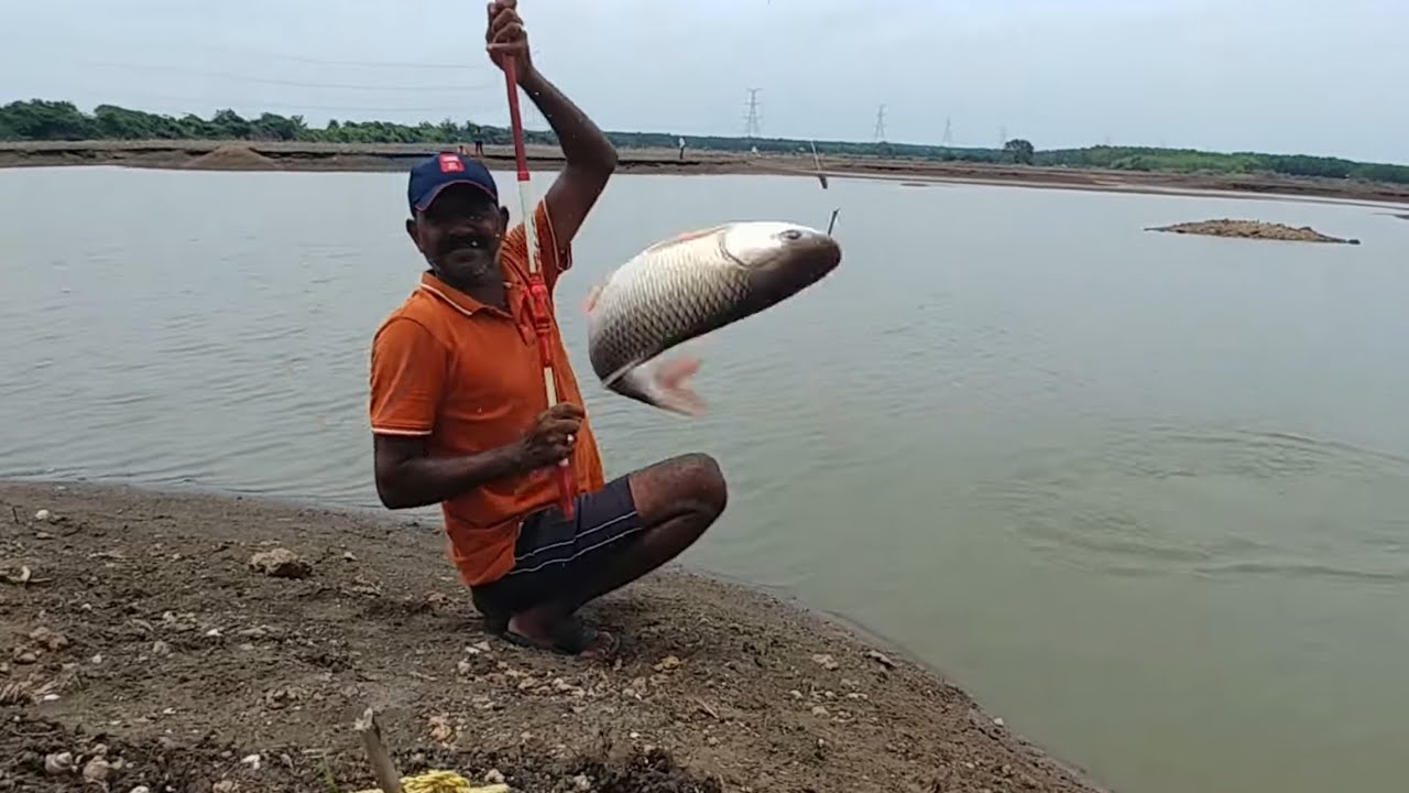Fishing | Amazing rohu fishing |Catfish & rohu fishes catch