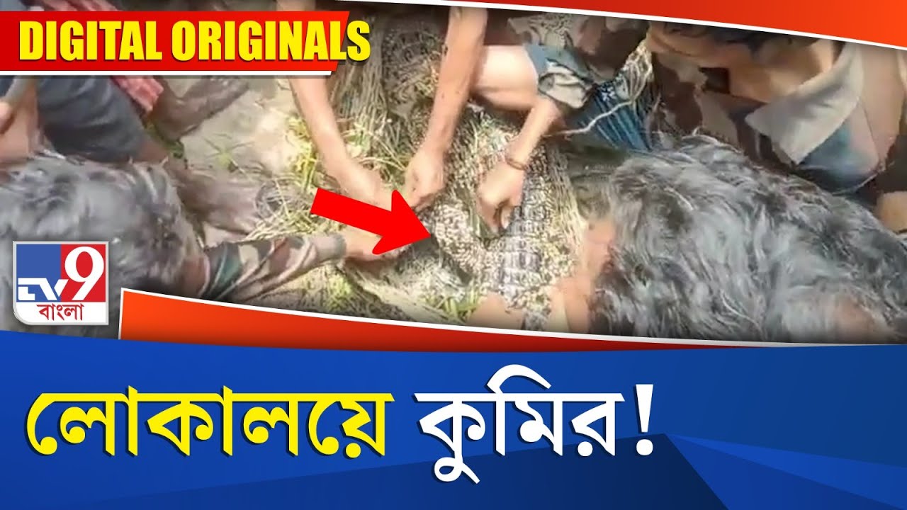 Kakdwip Crocodile News:  লোকালয়ে কুমির!