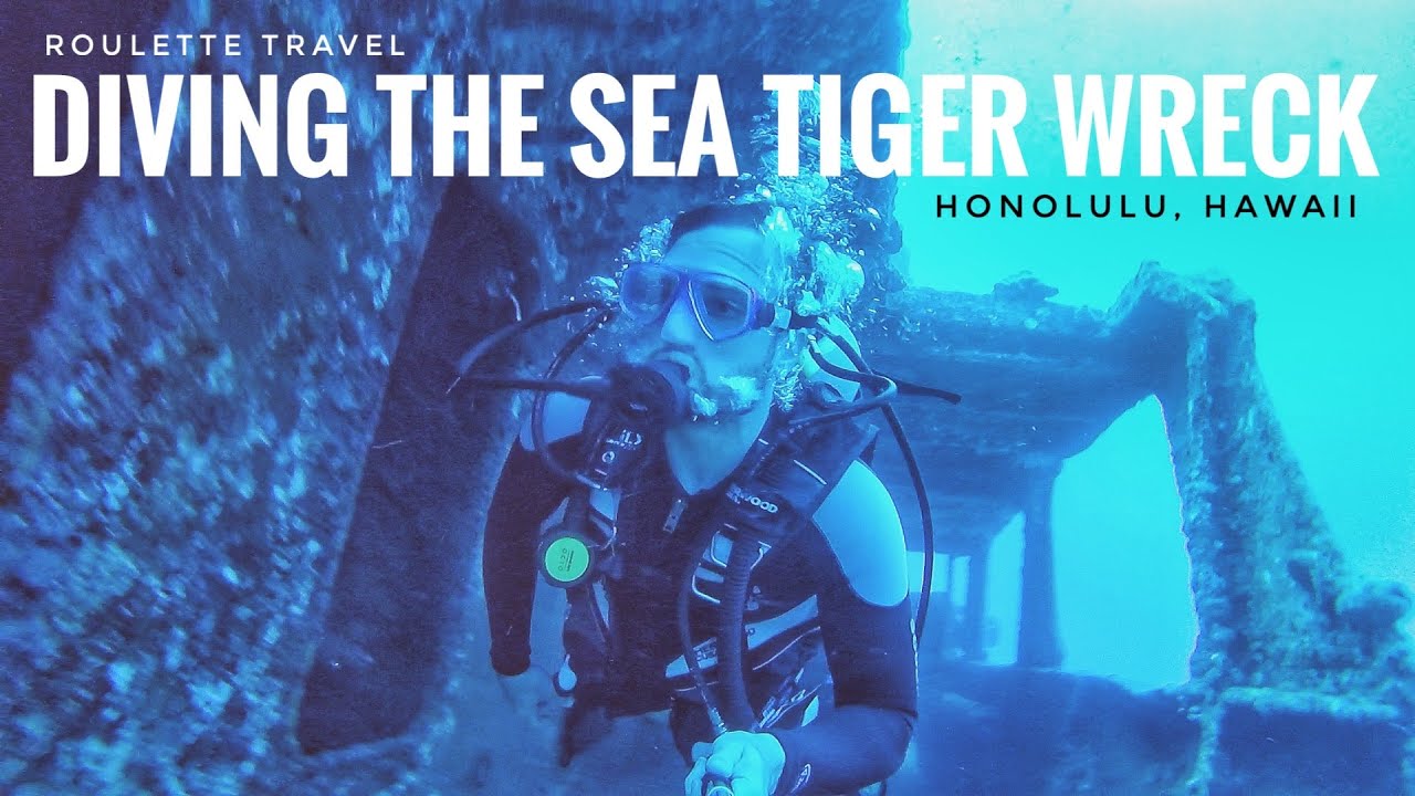 Diving the Sea Tiger Wreck - Honolulu, Hawaii - Roulette Travel