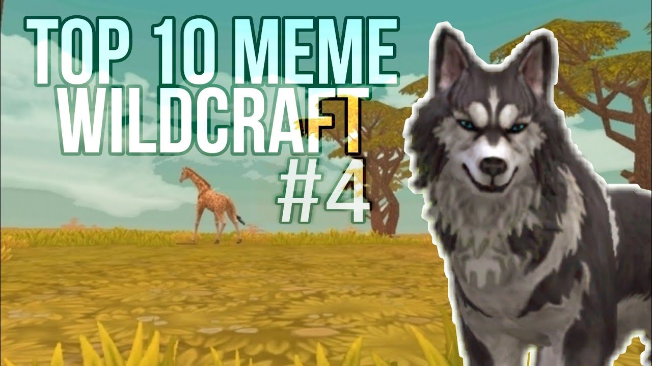 top 10 meme wildcraft #4