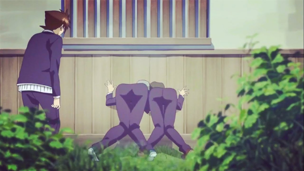 Top 5 Ecchi Animes Where MC Have Dumb Freinds