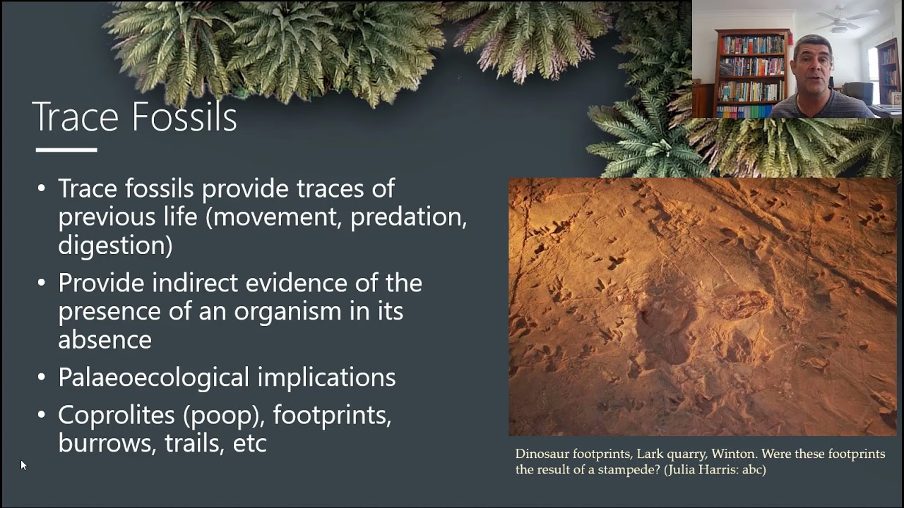 EP#13 Trace Fossils
