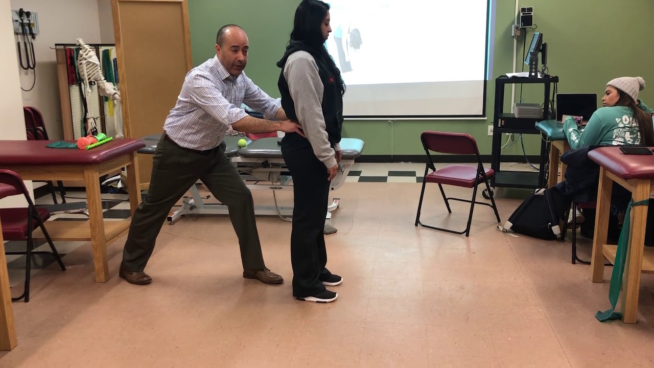 Lumbar Functional Screen