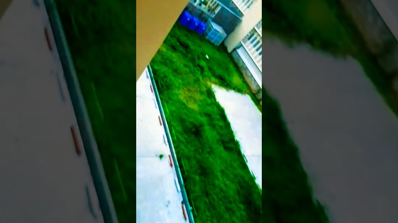 l'universit&eacute; de Kinshasa/ home universitaire unikin ANTH-MANZ #anth #edit #music #friends