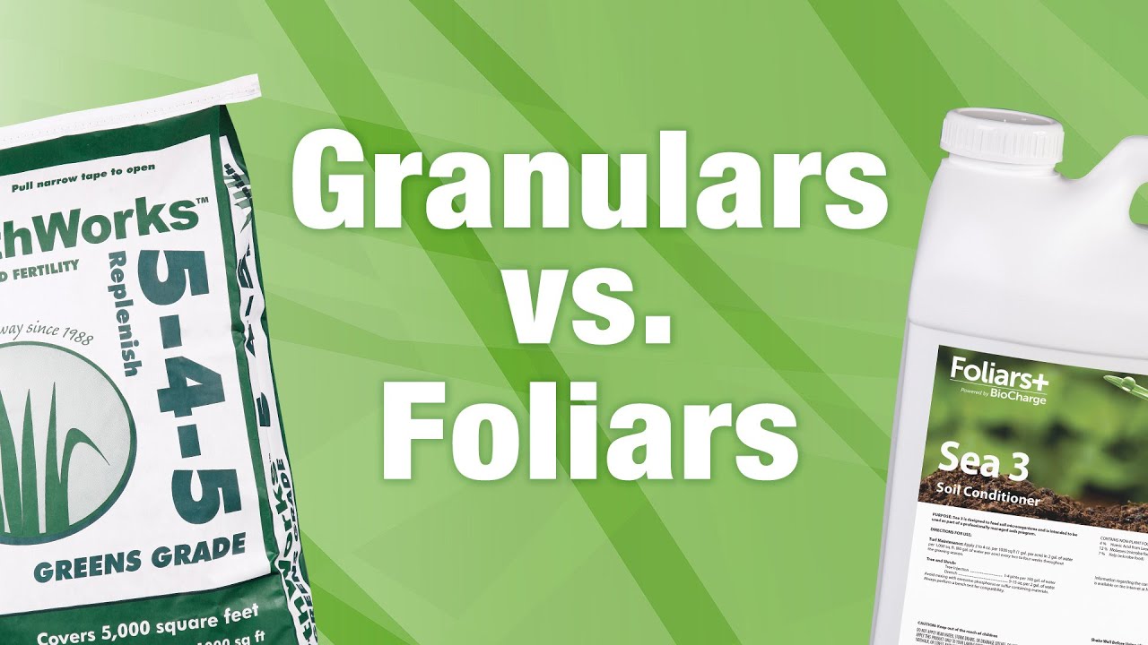 2 Minute Turf Talk - Granulars vs. Foliars
