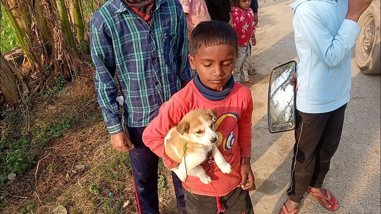 Part 2 Chota Bacha Aur Puppy Ki Pyari Dosti 🐶❤️👶