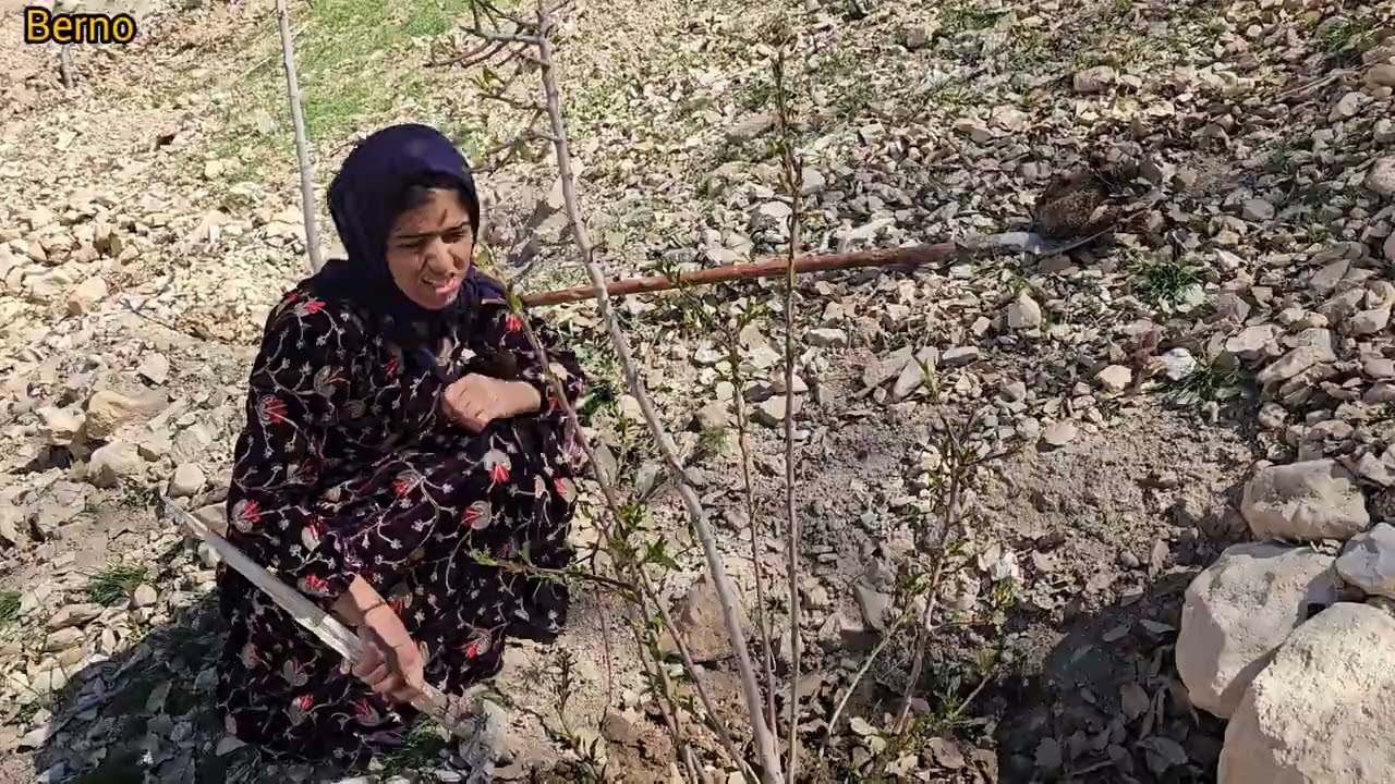 ۲۷ فوریهٔ ۲۰۲۶