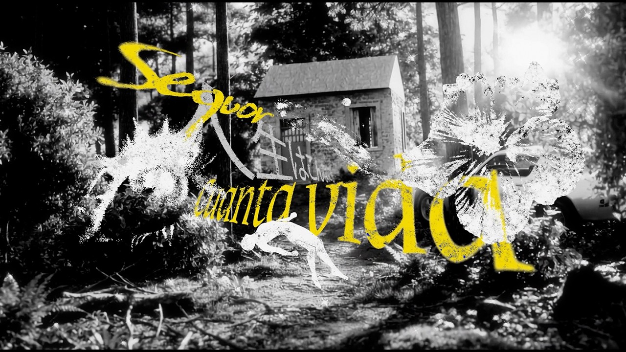 Sequor - CUANTA VIDA