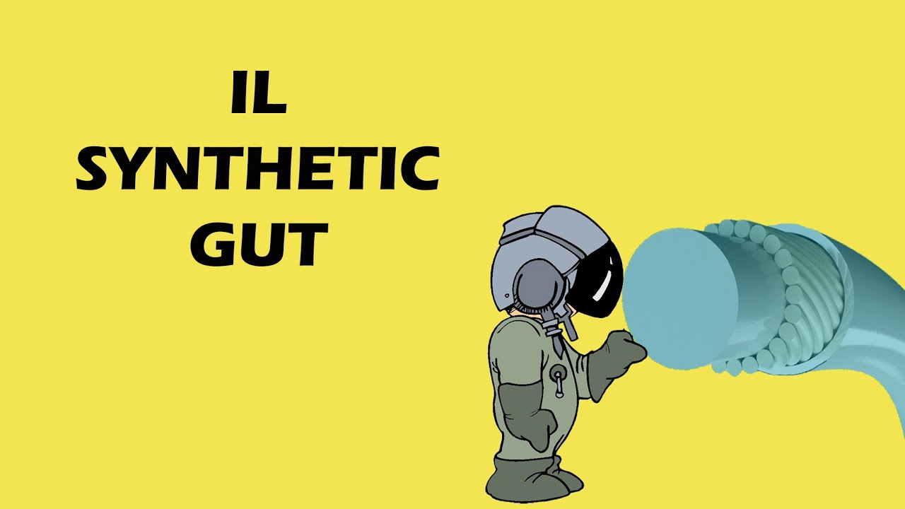 Il Synthetic Gut