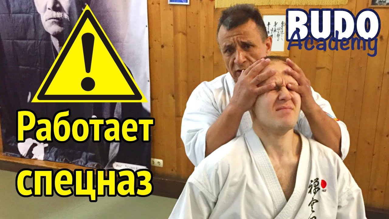 Прикладное каратэ. Самооборона | Игорь Зорин