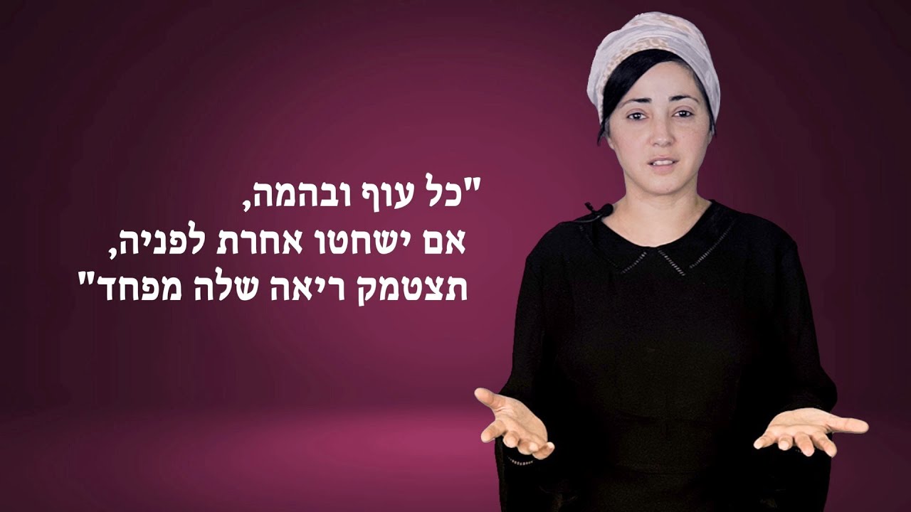 הקרבת קורבנות וצער בעלי חיים
