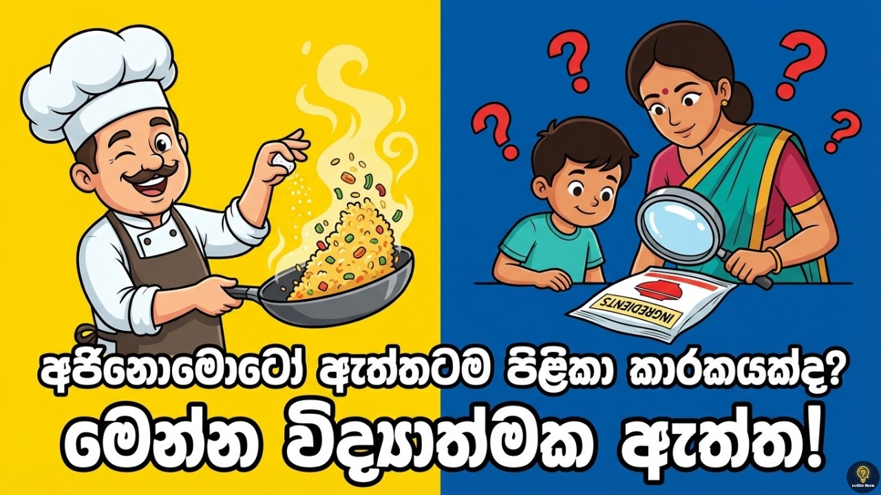 අජිනොමොටෝ කෑවම ඇත්තටම පිළිකා හැදෙනවද? මෙන්න විද්‍යාත්මක ඇත්ත! | The MSG Mystery