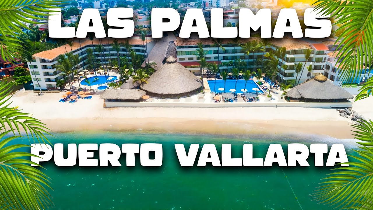 🏝️✨Hotel LAS PALMAS by THE SEA  Puerto Vallarta | Hotel las PALMAS Puerto Vallarta🌊